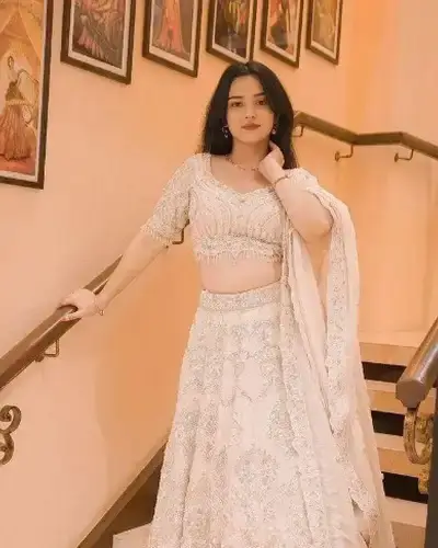 Escort Service In Baswa